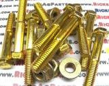Shear Bolt 700116639