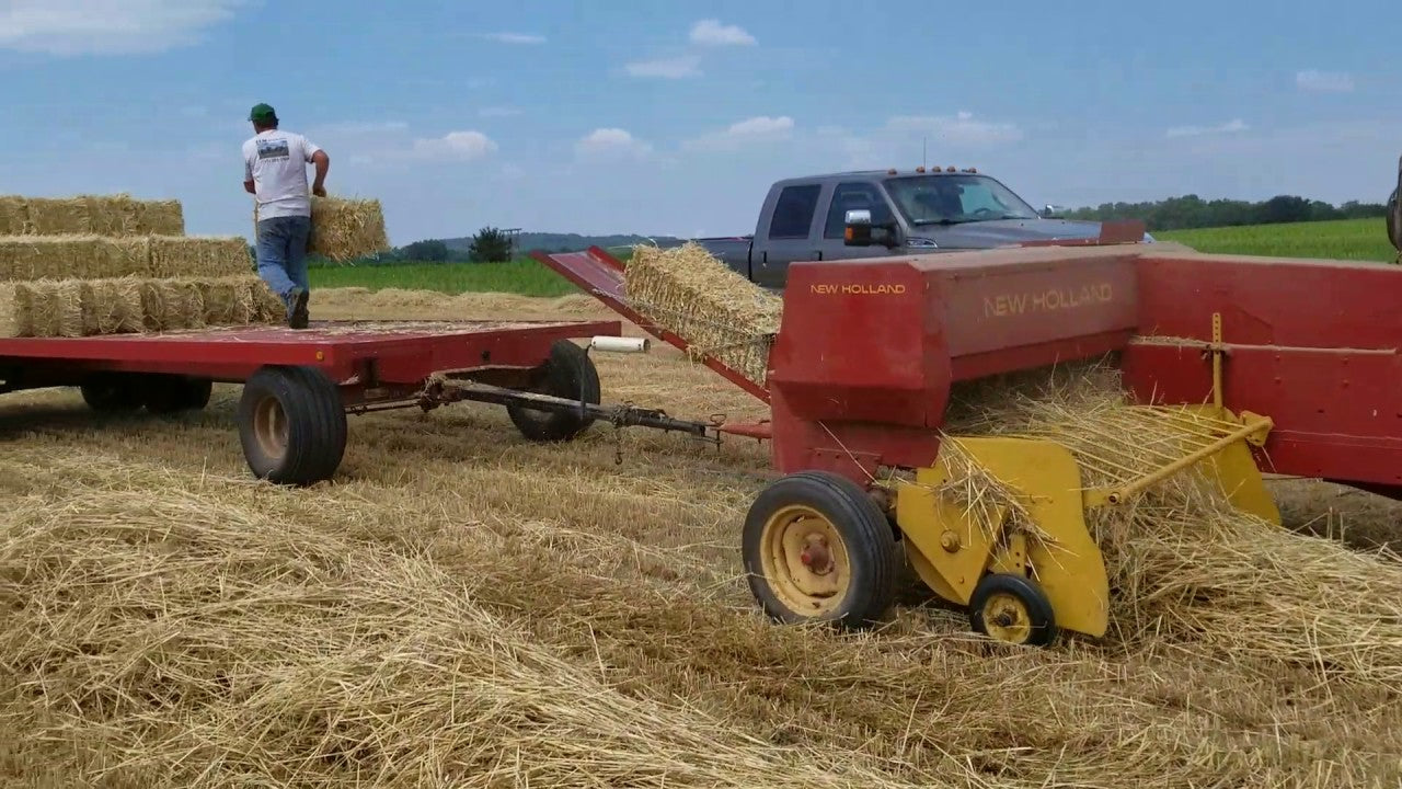Hay & Forage